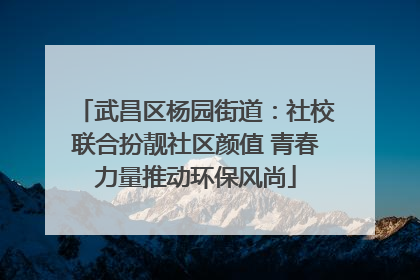 武昌区杨园街道：社校联合扮靓社区颜值 青春力量推动环保风尚