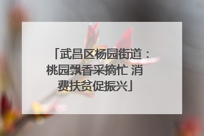武昌区杨园街道：桃园飘香采摘忙 消费扶贫促振兴