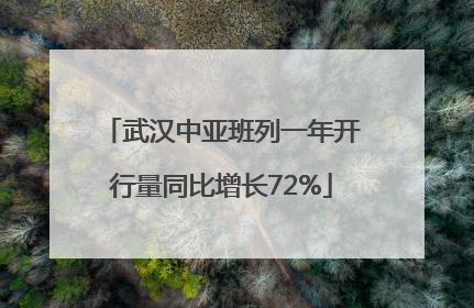 武汉中亚班列一年开行量同比增长72%