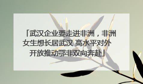 武汉企业要走进非洲，非洲女生想长居武汉 高水平对外开放推动鄂非双向奔赴
