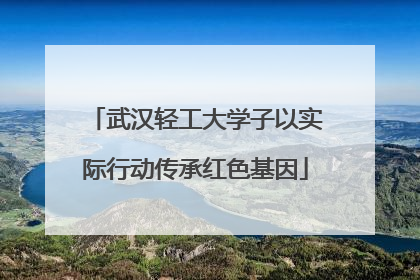 武汉轻工大学子以实际行动传承红色基因