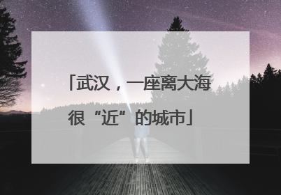 武汉，一座离大海很“近”的城市