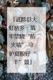 武陟县大虹桥乡：筑牢禁烧“防火墙” 守护夏粮好“丰”景
