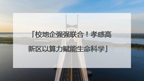 校地企强强联合！孝感高新区以算力赋能生命科学