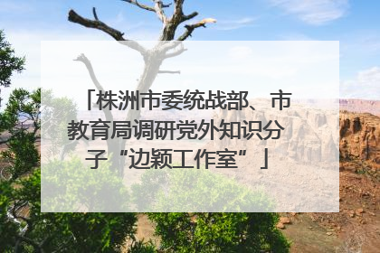 株洲市委统战部、市教育局调研党外知识分子“边颖工作室”