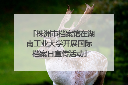 株洲市档案馆在湖南工业大学开展国际档案日宣传活动