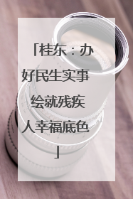桂东：办好民生实事 绘就残疾人幸福底色