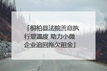 桐柏县法院善意执行显温度 助力小微企业追回拖欠租金