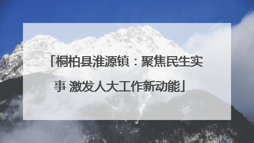 桐柏县淮源镇：聚焦民生实事 激发人大工作新动能