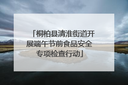 桐柏县清淮街道开展端午节前食品安全专项检查行动