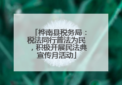 桦南县税务局：税法同行普法为民，积极开展民法典宣传月活动