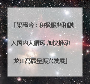 梁惠玲：积极服务和融入国内大循环 加快推动龙江高质量振兴发展