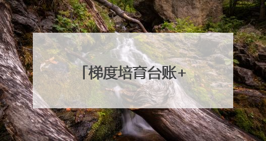 梯度培育台账+线上金融培训：揭秘新泰绿色制造的精准滴灌模式