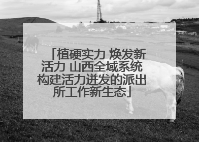 植硬实力 焕发新活力 山西全域系统构建活力迸发的派出所工作新生态