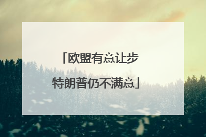 欧盟有意让步 特朗普仍不满意