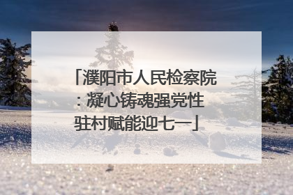 濮阳市人民检察院：凝心铸魂强党性 驻村赋能迎七一
