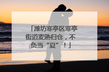 潍坊寒亭区寒亭街道麦熟归仓，不负当“夏”！