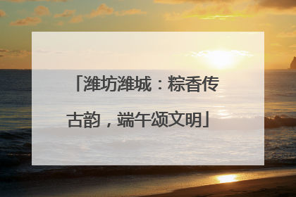 潍坊潍城：粽香传古韵，端午颂文明