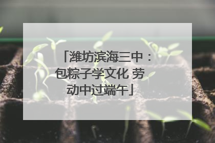 潍坊滨海三中：包粽子学文化 劳动中过端午