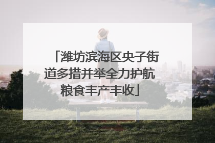 潍坊滨海区央子街道多措并举全力护航粮食丰产丰收