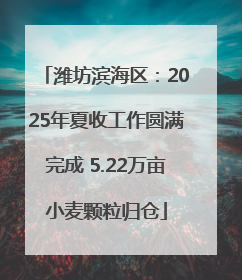潍坊滨海区：2025年夏收工作圆满完成 5.22万亩小麦颗粒归仓