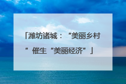 潍坊诸城：“美丽乡村”催生“美丽经济”