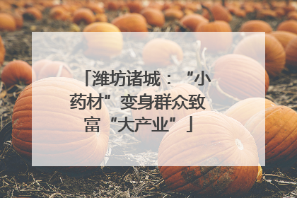 潍坊诸城：“小药材”变身群众致富“大产业”
