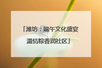 潍坊：端午文化盛宴 温情粽香润社区