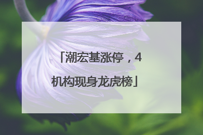 潮宏基涨停，4机构现身龙虎榜