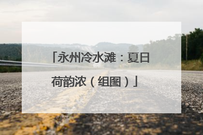 永州冷水滩：夏日荷韵浓（组图）