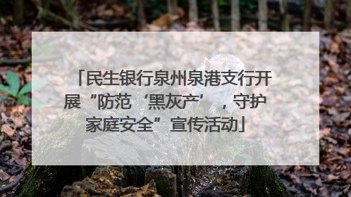 民生银行泉州泉港支行开展“防范‘黑灰产’，守护家庭安全”宣传活动