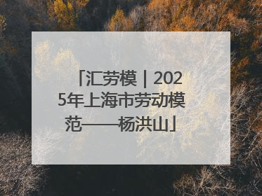 汇劳模｜2025年上海市劳动模范——杨洪山