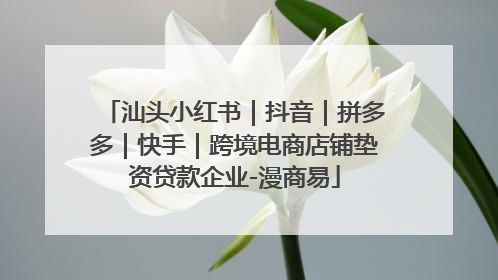 汕头小红书｜抖音｜拼多多｜快手｜跨境电商店铺垫资贷款企业-漫商易