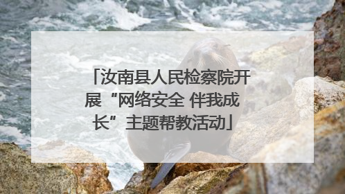 汝南县人民检察院开展“网络安全 伴我成长”主题帮教活动