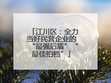 江川区：全力当好民营企业的“最强后盾”“最佳拍档”