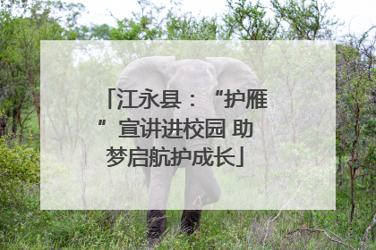 江永县：“护雁”宣讲进校园 助梦启航护成长