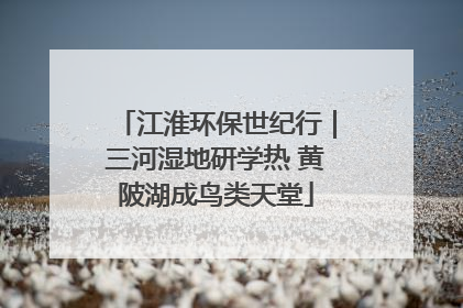 江淮环保世纪行｜三河湿地研学热 黄陂湖成鸟类天堂