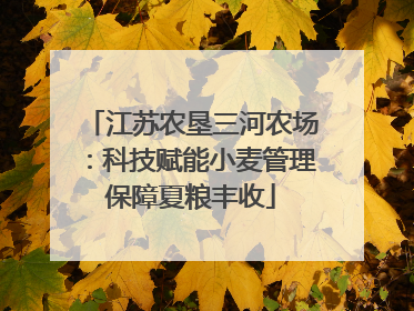 江苏农垦三河农场：科技赋能小麦管理保障夏粮丰收