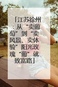 江苏徐州：从“卖葡萄”到“卖风景、卖体验”阳光玫瑰“葡”就致富路