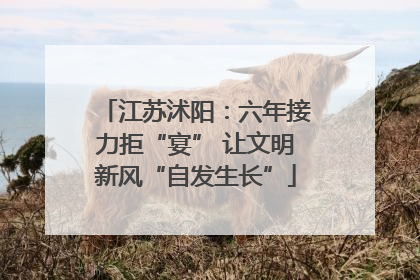 江苏沭阳：六年接力拒“宴” 让文明新风“自发生长”