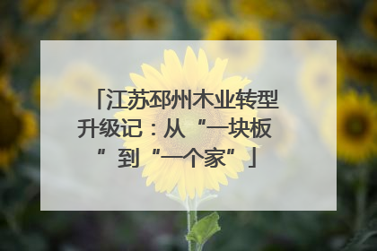 江苏邳州木业转型升级记：从“一块板”到“一个家”