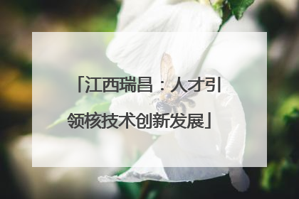 江西瑞昌：人才引领核技术创新发展