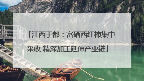 江西于都：富硒西红柿集中采收 精深加工延伸产业链