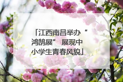 江西南昌举办“鸿鹄展” 展现中小学生青春风貌