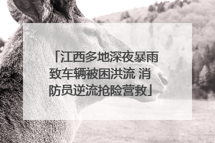 江西多地深夜暴雨致车辆被困洪流 消防员逆流抢险营救