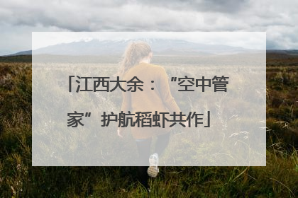 江西大余：“空中管家”护航稻虾共作