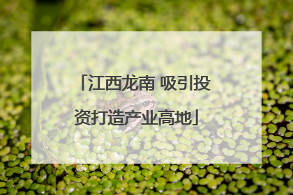 江西龙南 吸引投资打造产业高地