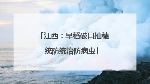 江西：早稻破口抽穗 统防统治防病虫