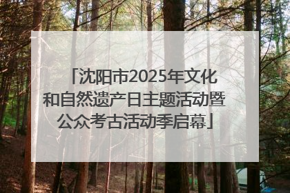 沈阳市2025年文化和自然遗产日主题活动暨公众考古活动季启幕
