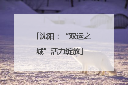 沈阳：“双运之城”活力绽放